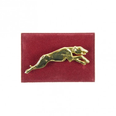 Brooch running Greyhound