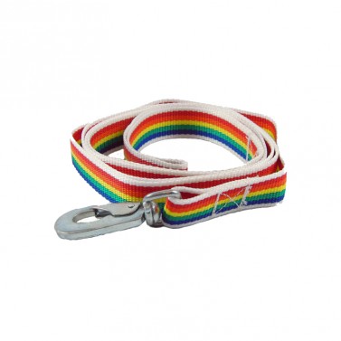 Leash Multi color Nylon