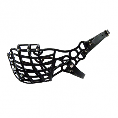 Racing muzzle Whippet